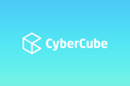 CYBERCUBE: Cyber Risks Management Platform
